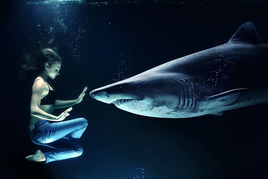edited underwater photo of woman wearing blue jeans water with shark, HD wallpaper