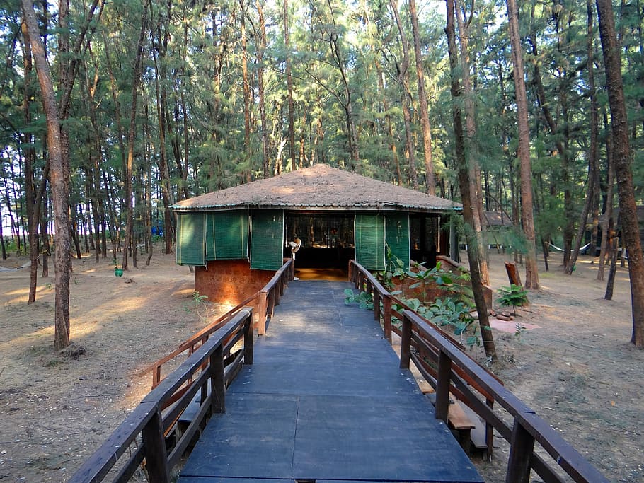 log hut, circular, forest, karwar, india, architecture, landmark HD wallpaper
