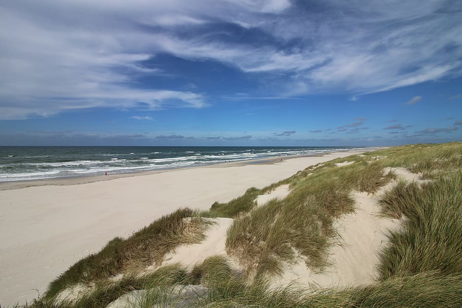 brown seashore under cloudy blue sky, Beach, Dune, Sand, Wind HD wallpaper