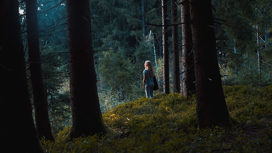 woman standing on green grass field during day time, forest HD wallpaper