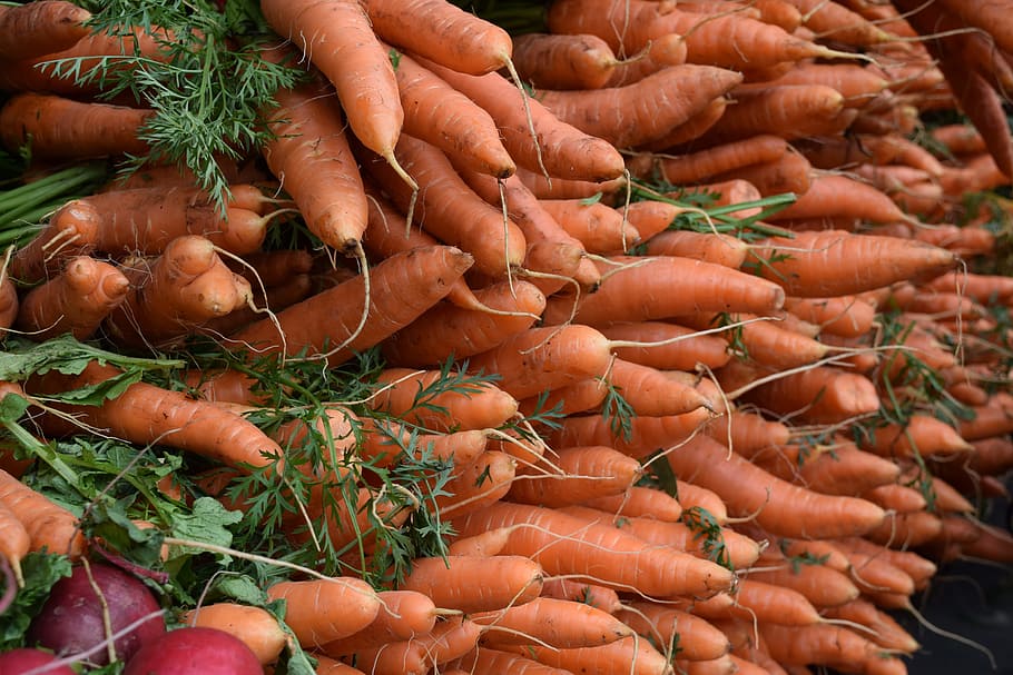 vegetables, veggies, carrots, food and drink, healthy eating HD wallpaper