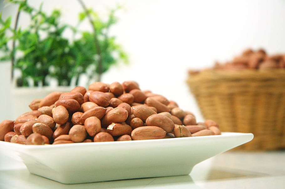 brown almond nuts on white ceramic plate, food, peanut, food and drink HD wallpaper