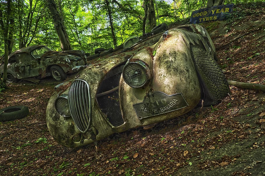 auto, car cemetery, oldtimer, rust, stainless karre, rusted, HD wallpaper