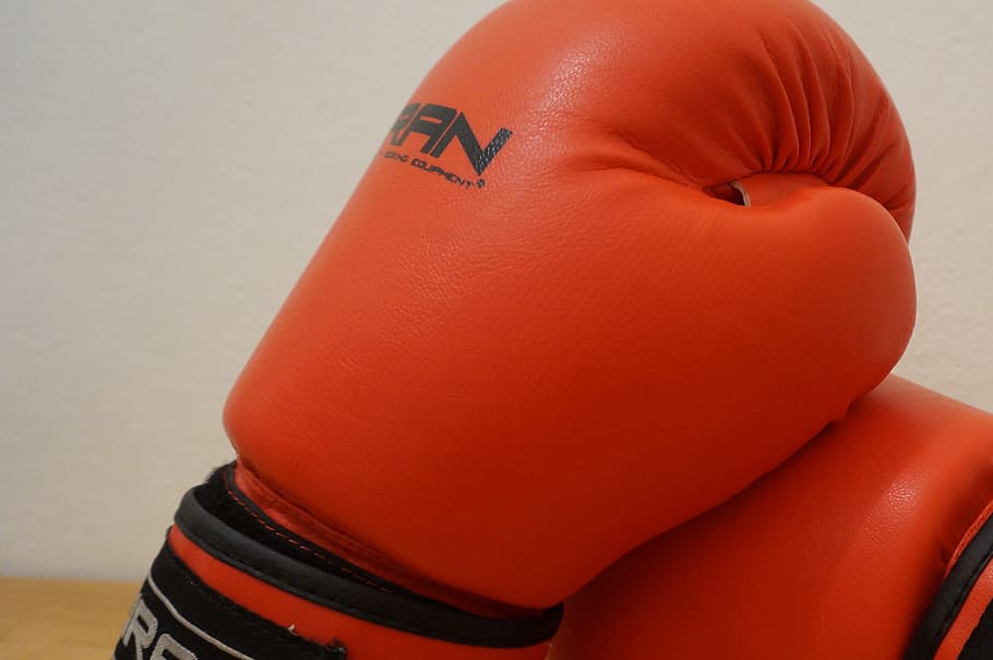 gloves, box, fight, red, the quality of the, detail, sport HD wallpaper