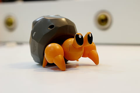 black and orange plastic sea creature toy, crab, pokémon, dwebble HD wallpaper