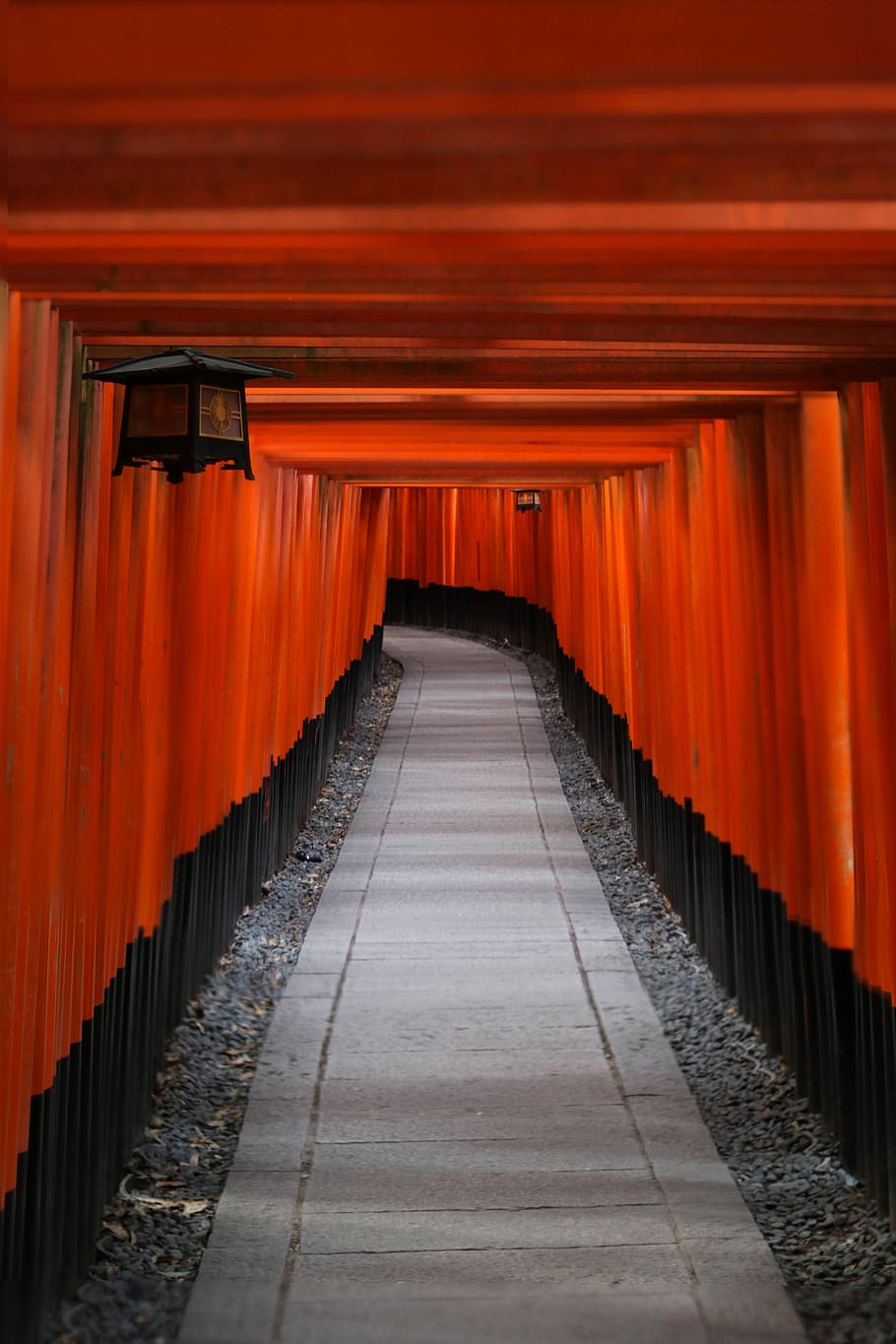hanging lantern, road, path, orange, red, lamp, the way forward HD wallpaper