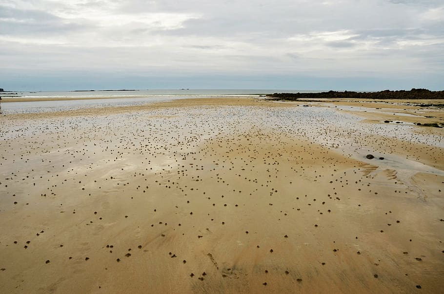 beach, sand, eb, tide, coast, ocean, sea, water, verte, horizon HD wallpaper