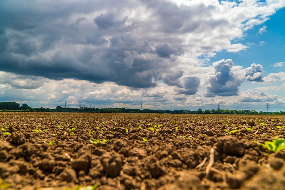 sky, clouds, blue, dark clouds, clouds form, covered sky, the sky HD wallpaper
