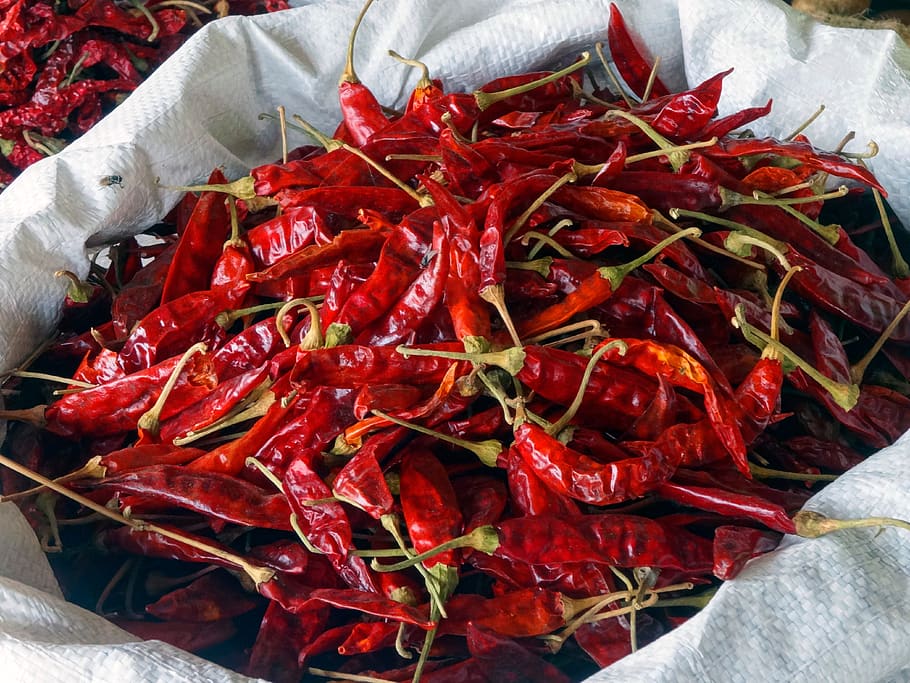 chili, spices, sharp, red, pepperoni, chilli pepper, kitchen, HD wallpaper
