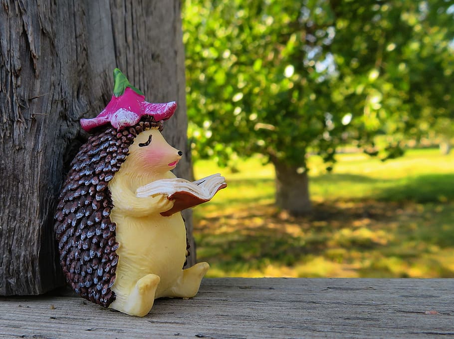 armadillo with book figurine placed near wood, Reading, Hedgehog HD wallpaper