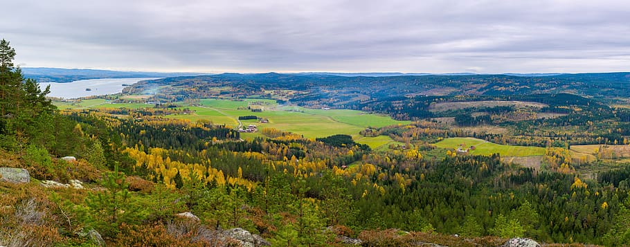 green, grass, trees, plants, forest, field, farm, rocks, houses HD wallpaper