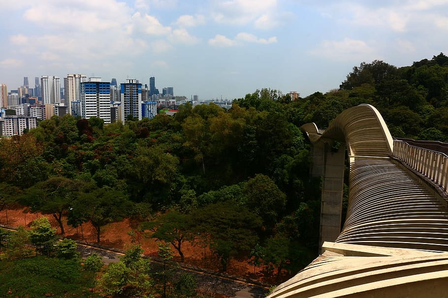 green trees and high rise buildings during daytime, architecture HD wallpaper