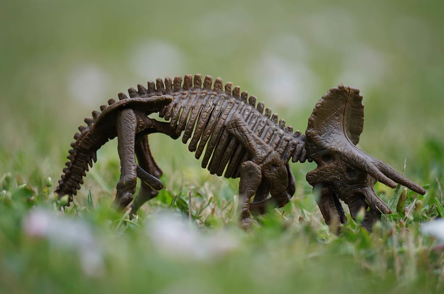 Dinosaur, Bones, Herbivore, Toy, Grass, animals in the wild HD wallpaper