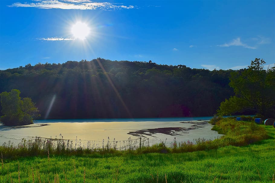 field, pond, sunlight, grass, green, blue, sky, nature, summer HD wallpaper