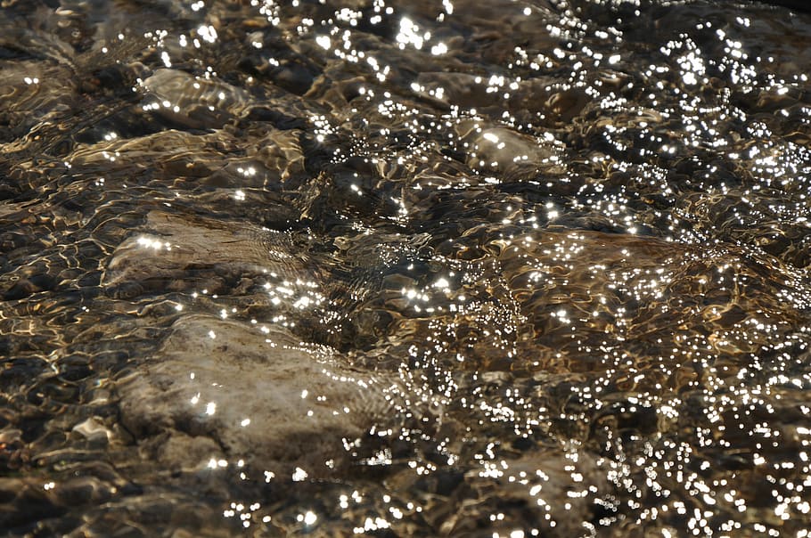 Water, Stream, River, Transparent, outdoors, rock, flow, background HD wallpaper