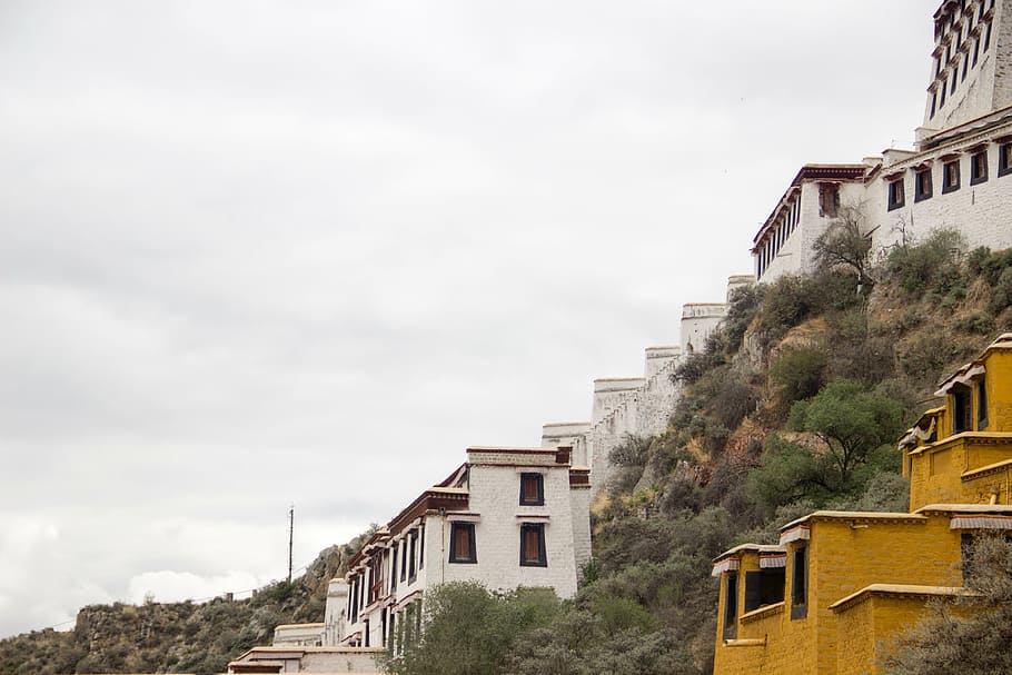the potala palace, tibet, white cloud, positive, architecture HD wallpaper