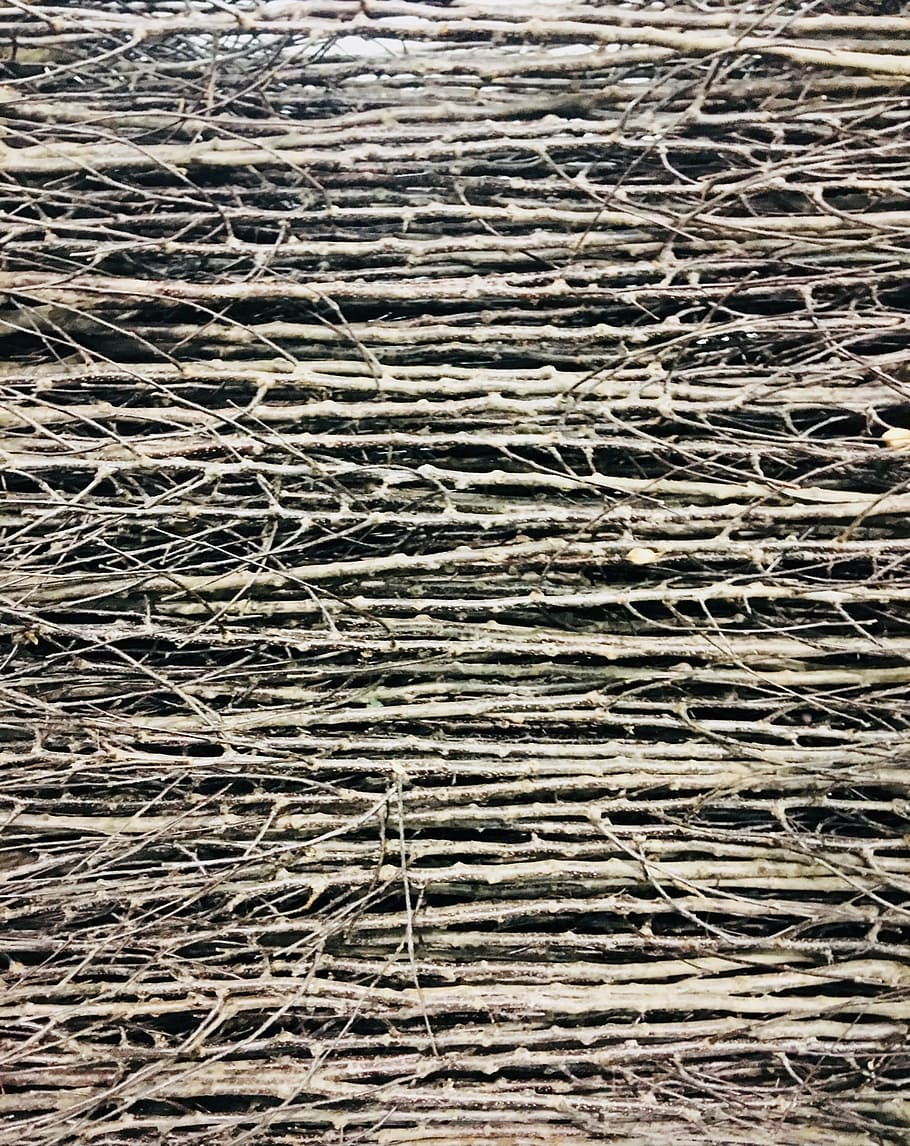 branches, photography, image, full frame, pattern, no people HD wallpaper