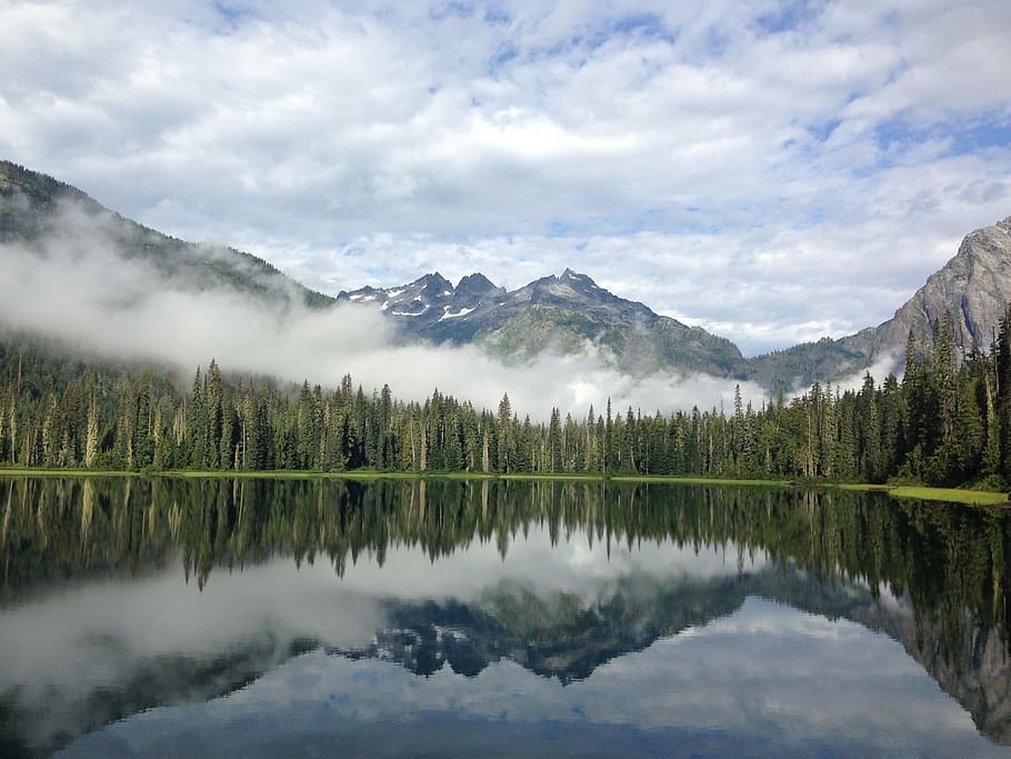 forest, canada, lake, landscape, mountain, water, nature, tranquil HD wallpaper
