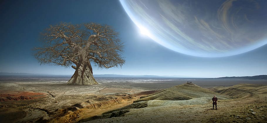 bare tree near person standing, fantasy, planet, landscape HD wallpaper