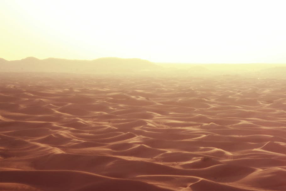photo of golden hour on desert, nature, sand, dry, landscape HD wallpaper