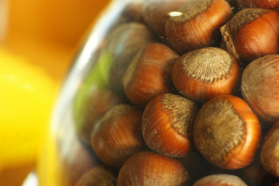 hazelnut, shelled, cookies, brown, food, nutrition, kitchen HD wallpaper