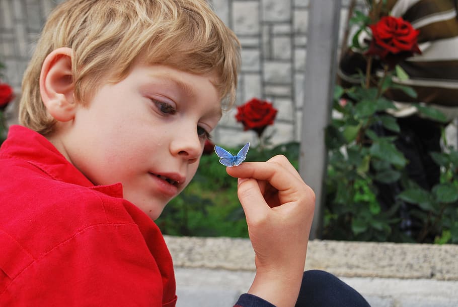 Boy, Butterfly, Hand, Finger, watching, learning, exploring HD wallpaper