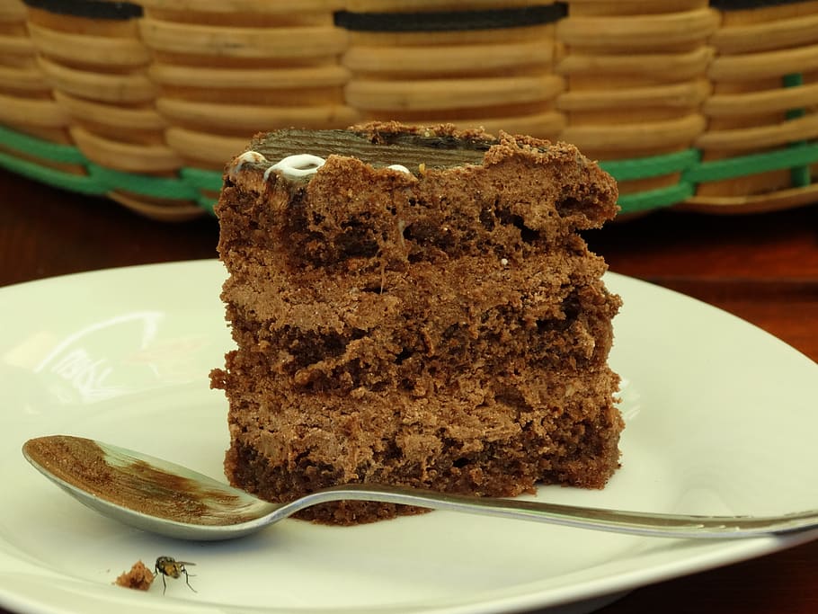 cake, teaspoon, fly, dessert, sweet food, plate, food and drink HD wallpaper