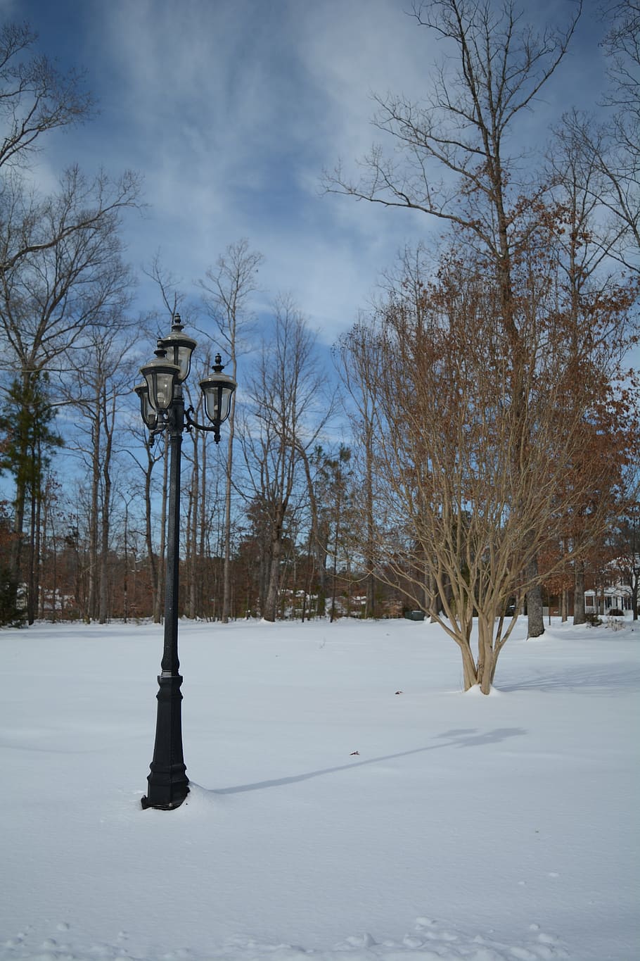 winter, snow, landscape, lamppost, cold, white, cold temperature HD wallpaper