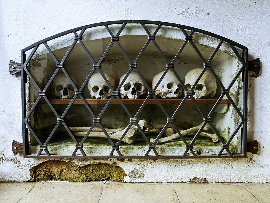 white skulls and bones inside shelf rack on wall with black metal grill cover HD wallpaper
