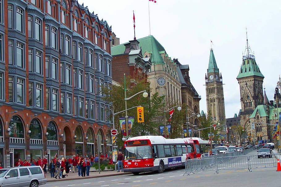 Elgin Street in downtown Ottawa, Ontario, Canada, buildings, bus, HD wallpaper