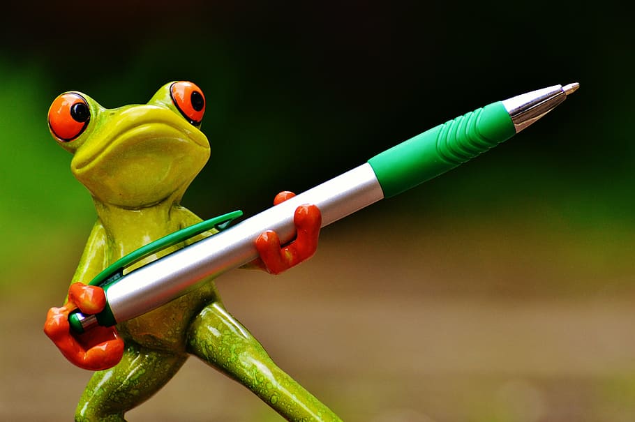 red eyed tree frog holding silver and green click pen, holder, HD wallpaper