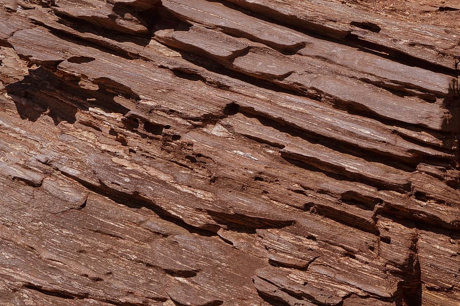 macro photography of wooden bark, abstract, background, design HD wallpaper