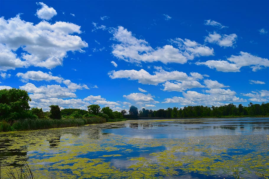 swamp, clouds, sky, blue, nature, landscape, sun, outdoor, natural HD wallpaper