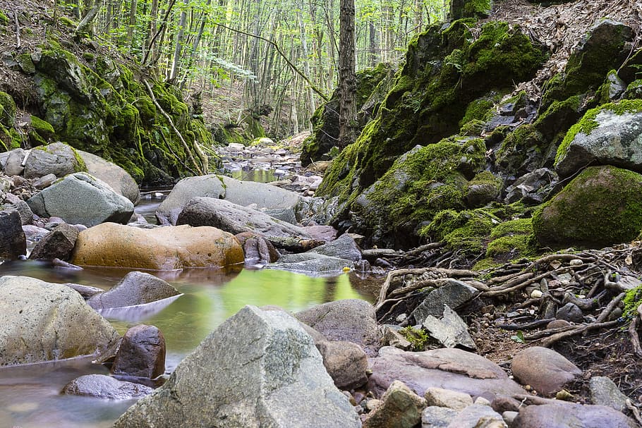 body of water and rock formations, landscape, nature, forest HD wallpaper