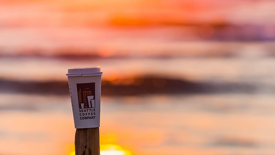 Sunrise Cappuccino, selective focus photography of white Seattle coffee company solo cup on brown wooden plank during golden hour HD wallpaper