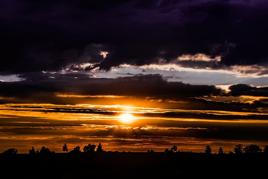 silhouette of trees during sunset, setting sun, abendstimmung HD wallpaper