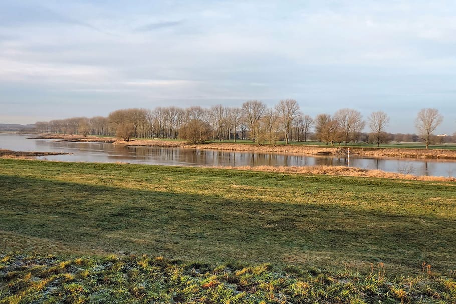 river, trees, elbe, landscape, elbwiesen, axien, water, plant HD wallpaper