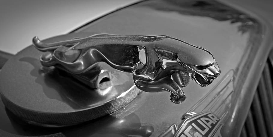 oldtimer, jaguar, cool figure, auto, classic, pkw, old car HD wallpaper