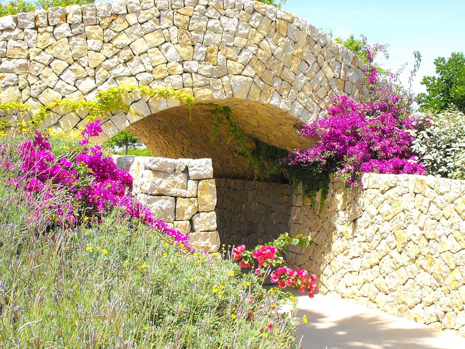 empty pathway beside bougainvillea flowers, bridge, stone, masonry HD wallpaper