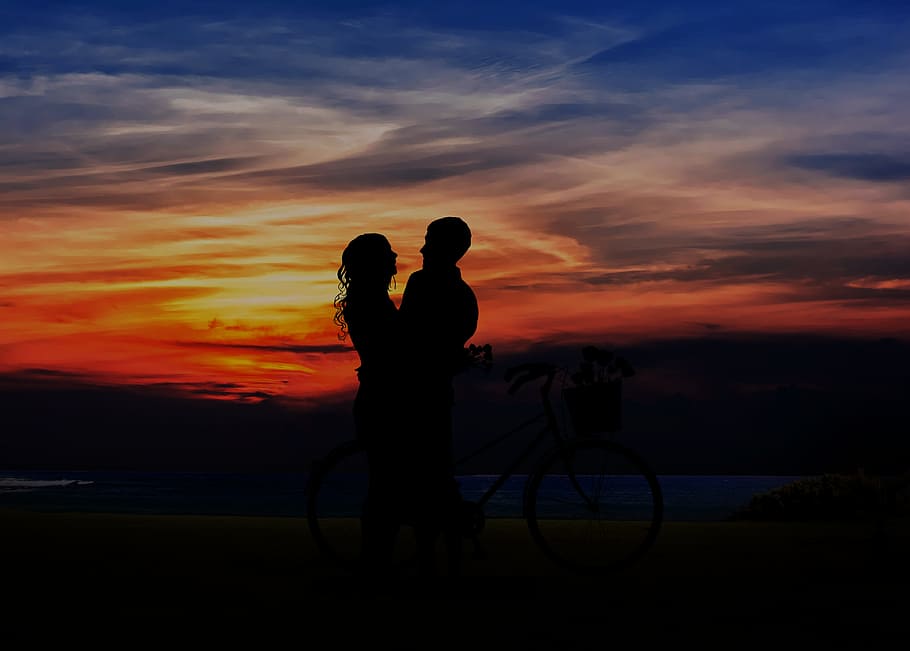 sunset, dusk, silhouette, backlit, evening, silhouetted, shadow HD wallpaper
