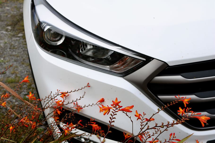 auto, parked, spotlight, automotive, parked car, on the side of the road HD wallpaper