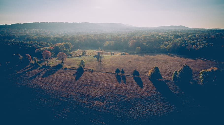 dark, sunset, sunrise, trees, plant, nature, field, farm, landscape HD wallpaper