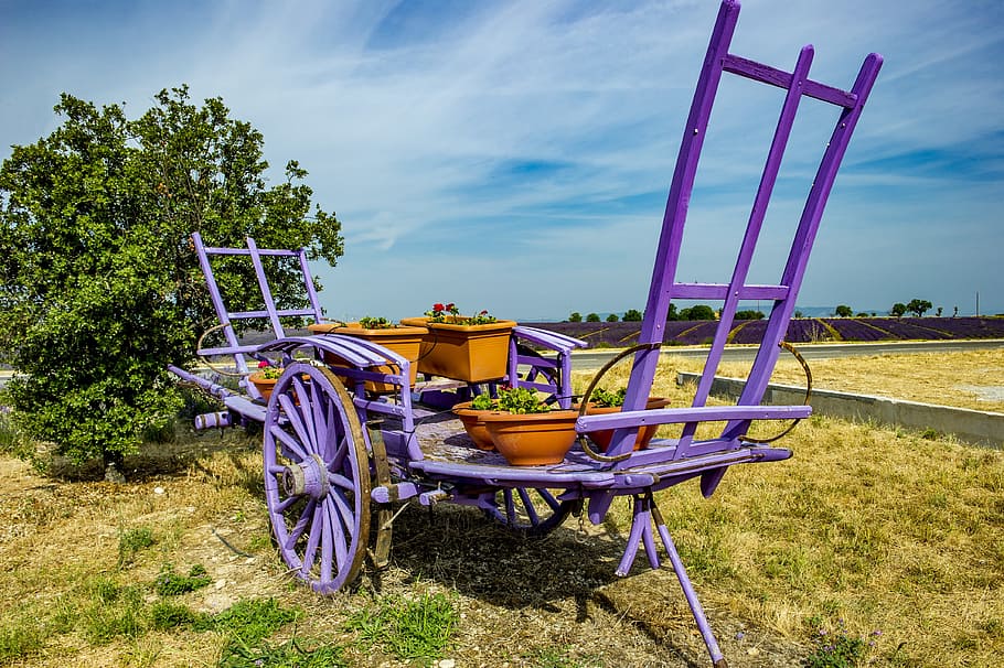 Provence, Valensole, Lavender, haute provence, summer, cloud - sky, HD wallpaper