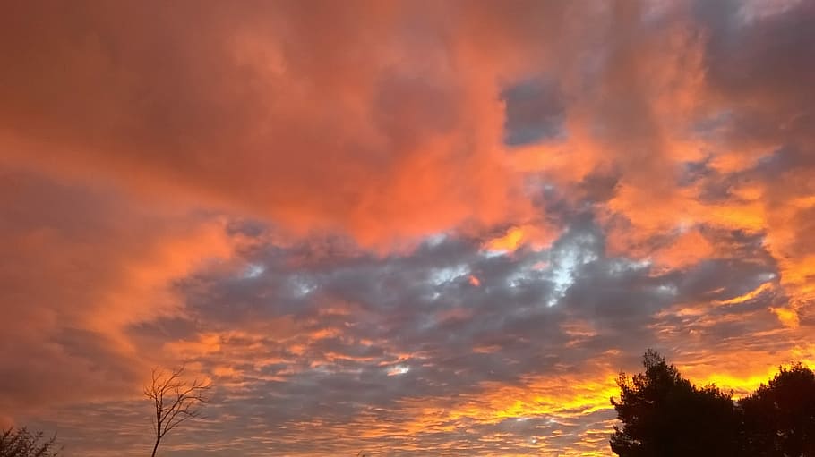 Morning, Cloudy, sky, sunset, orange color, nature, no people HD wallpaper