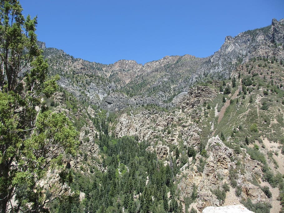 mountainside, utah, rock, trees, plant, beauty in nature, sky HD wallpaper