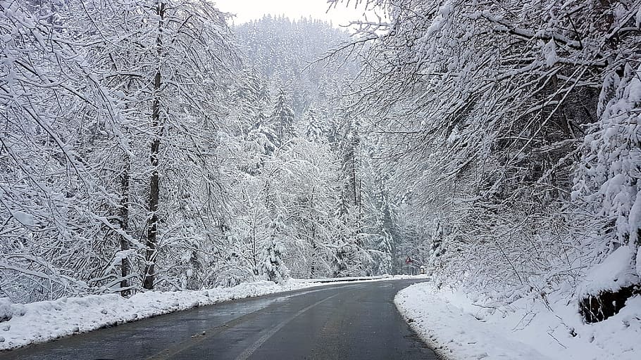mountain, road, winter, forest, snow, cold, frost, romania HD wallpaper