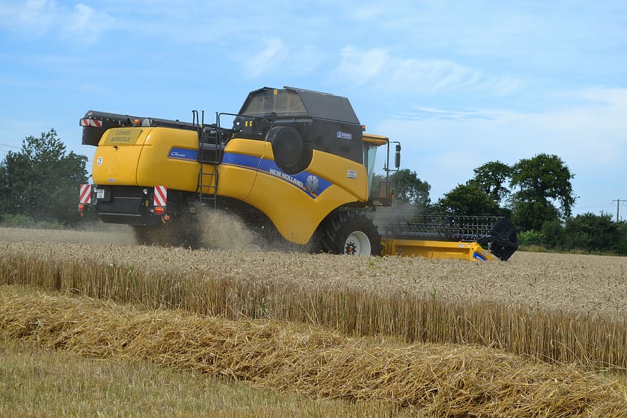 harvester, wheat, field, plant, land, yellow, land vehicle, HD wallpaper