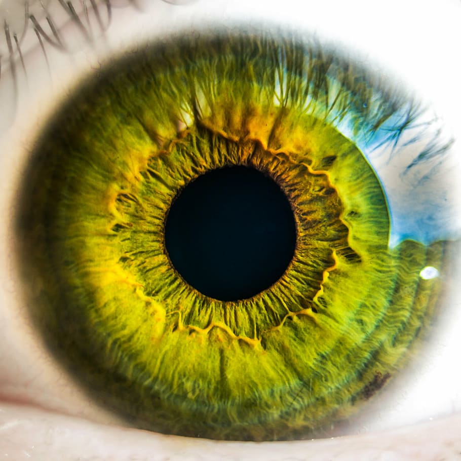 green and black eye illustration, eyeball, vision, sight, retina
