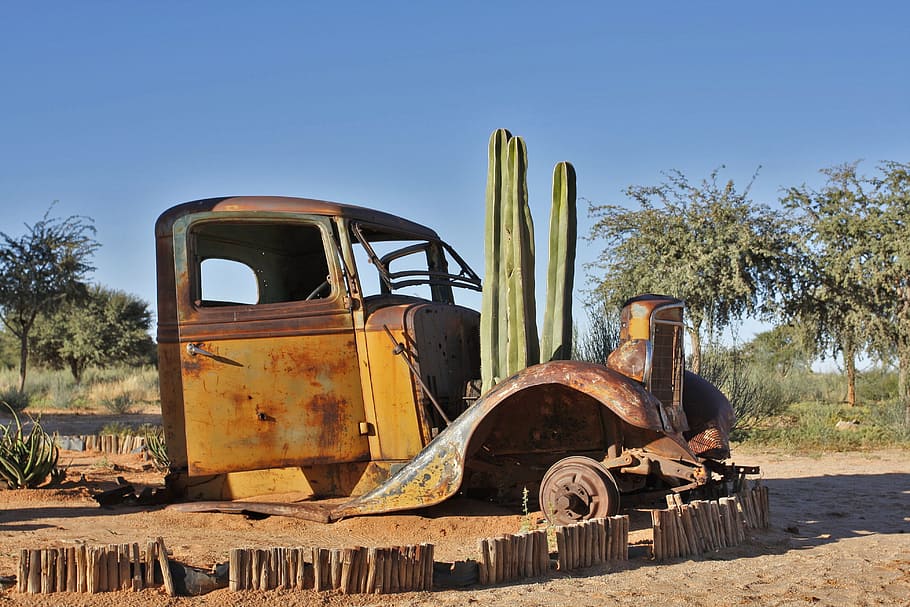 Namibia, Old Car, Cactus, Rust, abandoned, blue, clear sky HD wallpaper