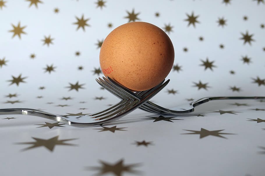 fork, egg, cutlery, food, origin of life, nutrition, frisch HD wallpaper